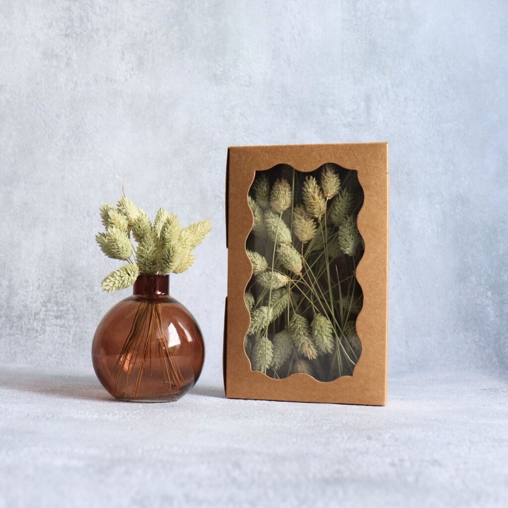 Box na aranžování s Phalarisem natur – přírodní dekorace pro floristické tvoření